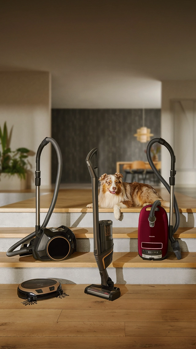 Miele vacuum cleaner range displayed on a staircase next to an Australian Shepherd