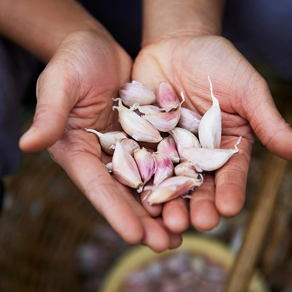 A handful of garlic cloves