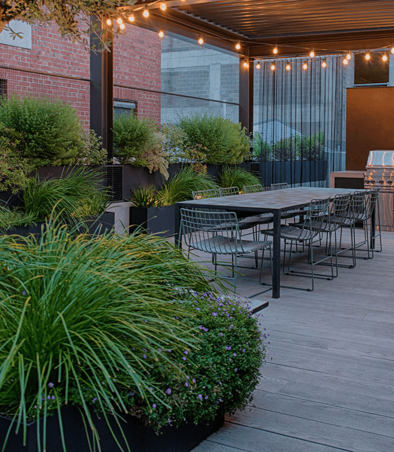 lush green garden on a patio